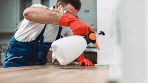 Best Residential Pest Control  in Hazlehurst, GA